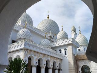 White Dome Magic✨