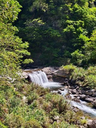 Tiger Mountain (also known as Tiger Boy Mountain or Tiger Head Mountain) is located in Tai'an Township, Miaoli County. At 1492 meters above sea level, it is the highest of the "Shuiyun Three Stars" (a group of three famous mountain ranges in China), renowned for its majestic and steep shape, earning it the reputation of "Dabajian Mountain, a mid-level mountain."

The Tiger Mountain trail is of moderate difficulty. The initial section is gentle, while the latter part features steep rope slopes requiring both hands and feet to climb, making it quite challenging and suitable for experienced hikers. A round trip typically takes 4-5 hours, making it a popular mid-level mountain route.

It is on par with Henglong Mountain and Niaozui Mountain, with Tiger Mountain ranking first due to its highest elevation.

Its shape closely resembles Dabajian Mountain, boasting magnificent scenery and earning it the title of "Dabajian of mid-level mountains."

The trail features pristine forests, including the Shuiyun Waterfall. From the viewpoints, one can enjoy panoramic views of the Xuejian Mountain Range and the Dabajian Peaks. The scenery is particularly beautiful during the tung blossom season.