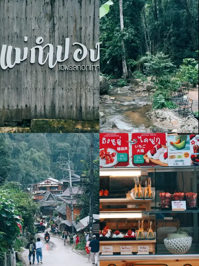 清邁Mae Kampong村：雲端之上的隱秘山中逃逸