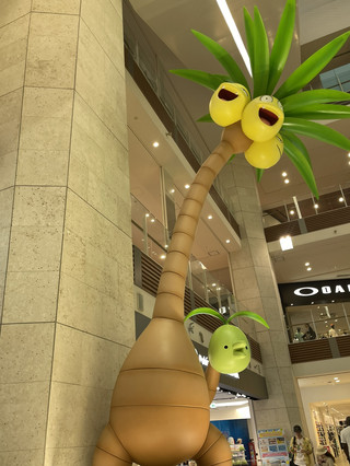 Check-in! The Largest Mall in Okinawa.