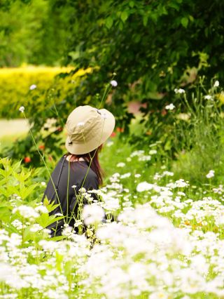 A natural garden cultivated with minimal intervention to let nature thrive.