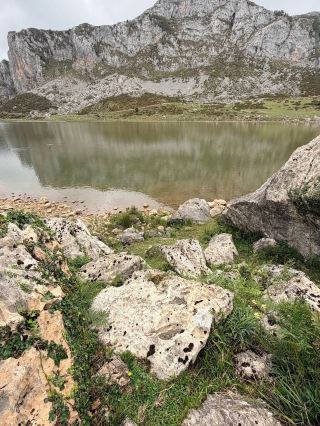 山比我的相機還要高。