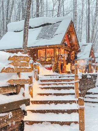 🏡❄️ 눈 덮인 숲속 작은 오두막... 마치 동화 속 세상에 들어온 것만 같아요! 🇯🇵✨