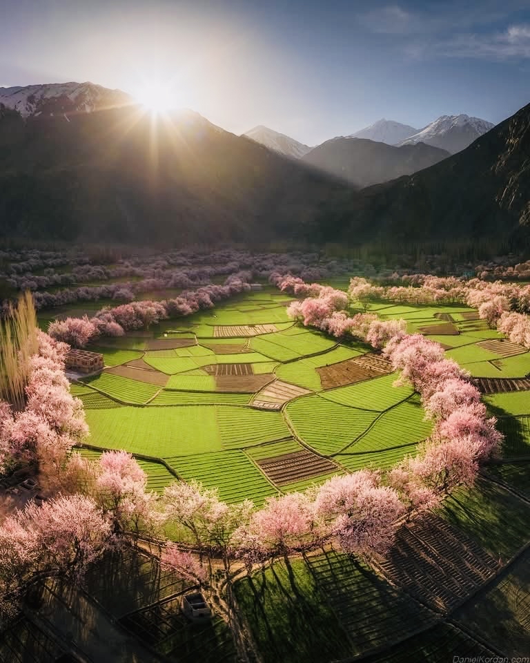 🇵🇰 Where Snowy Peaks Meet Spring Blossoms 🌸🏔️