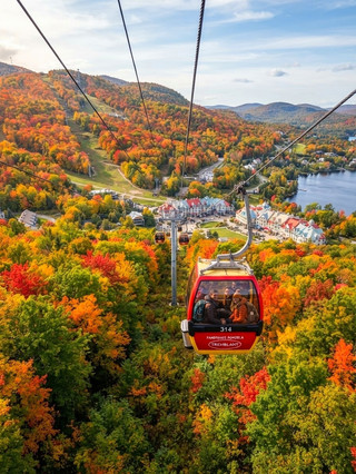 Maple Leaf Country