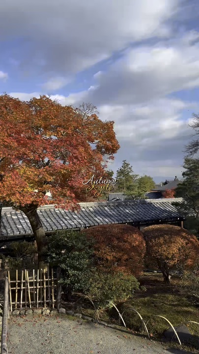 Chasing Red Leaves Through Kyoto’s Most Beautiful Season