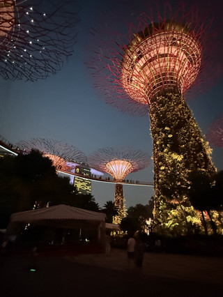 ✨ An Evening of Musical Theatre Under the Supertrees
