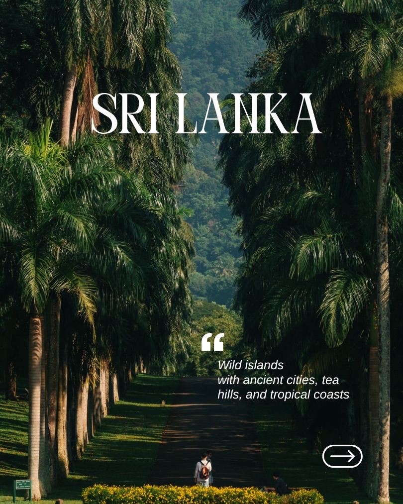 Sri Lanka in 7 Days: Culture, Safari, Tea Hills & Sunrise Views