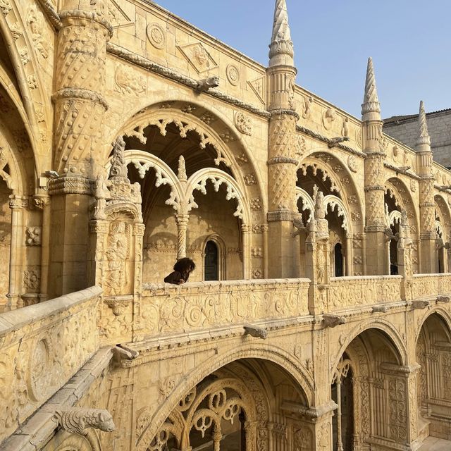 Portugal 🇵🇹❤️