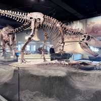 1 of the biggest museum🦖🦕