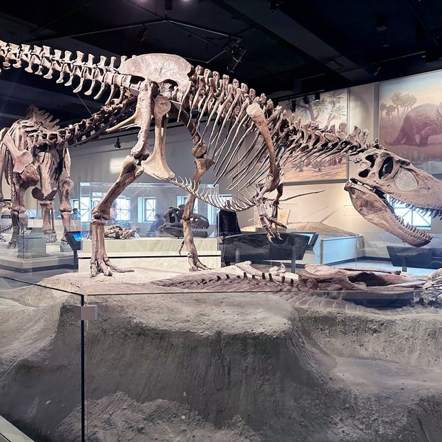 1 of the biggest museum🦖🦕