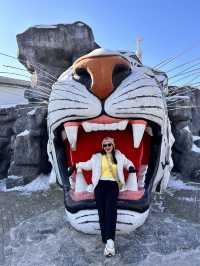 Siberia Tiger Safari