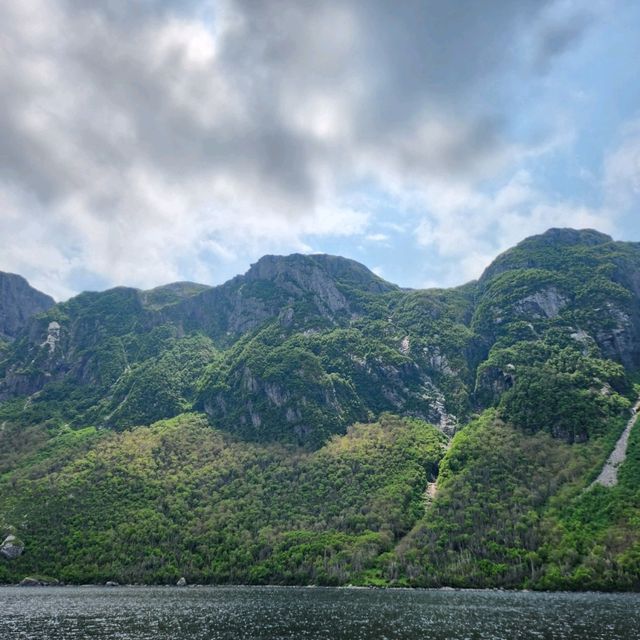 Fjords Magic
