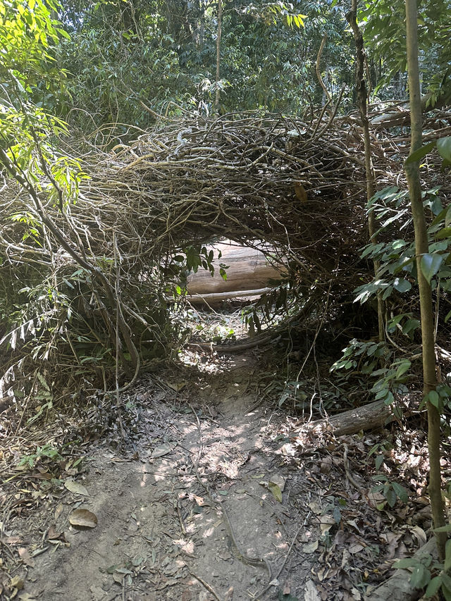 Track Corcovado, Christ Redeemer