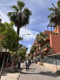 Marrakech ✨: Jardin Majorelle & the World of Yves Saint Laurent
