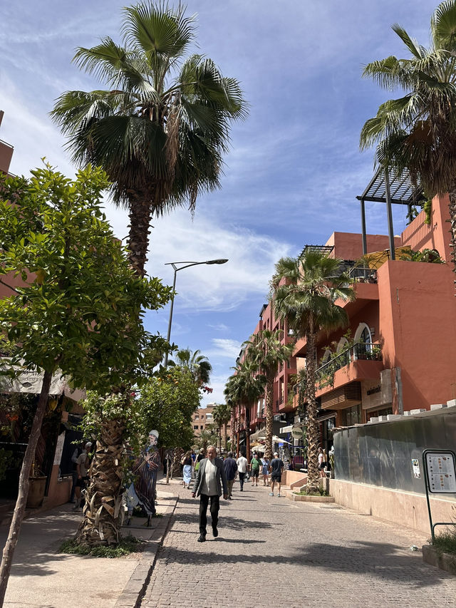 Marrakech ✨: Jardin Majorelle & the World of Yves Saint Laurent