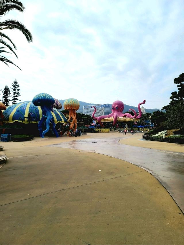 Chimelong Ocean Kingdom - Whale Shark Magic🦈 Chimelong Ocean Kingdom - Whale Shark Magic🦈