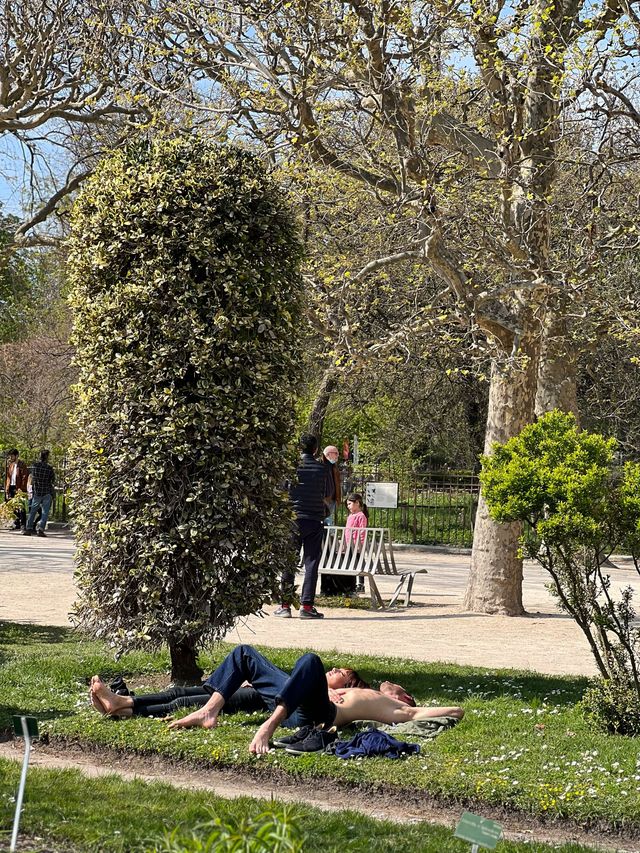 🇫🇷파리에서 벚꽃을 볼 수 있다! 