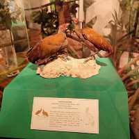 National Museum of Natural History Manila 🗺️