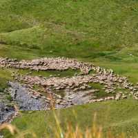 Tour de Mont Blanc in seven days