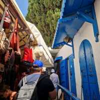 The Enchanting Blue Doors of Sidi Bou Said 🇹🇳💙