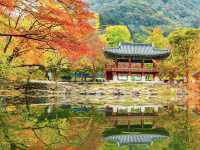 Naejangsan national park Korea 
