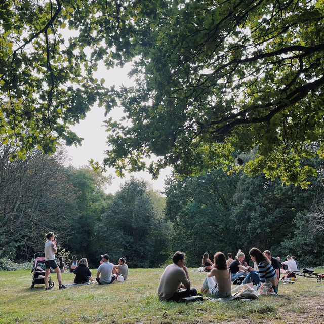 London Hampstead Heath: Ponds, Paths, and Panoramic Views