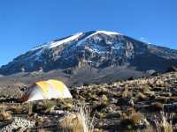  5 Days on the Marangu Route: Your Best Kilimanjaro Climbing Experience 2024-2026