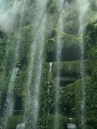 Singapore Cloud Forest: Stepping into another natural planet!