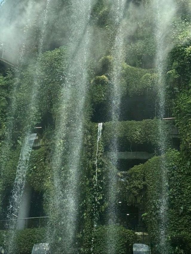 Singapore Cloud Forest: Stepping into another natural planet!