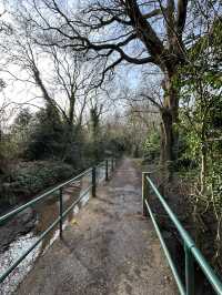 🌿 Hidden Gem: Canley Ford, Coventry