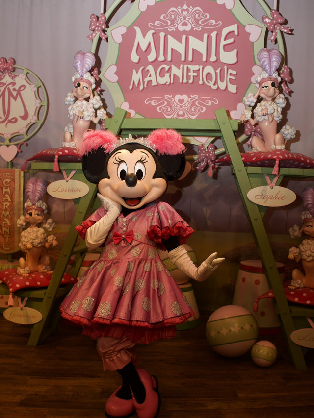 【WDW】キャラクターグリーティング ピートのシリー・サイドショー編🤹🏻‍♀️