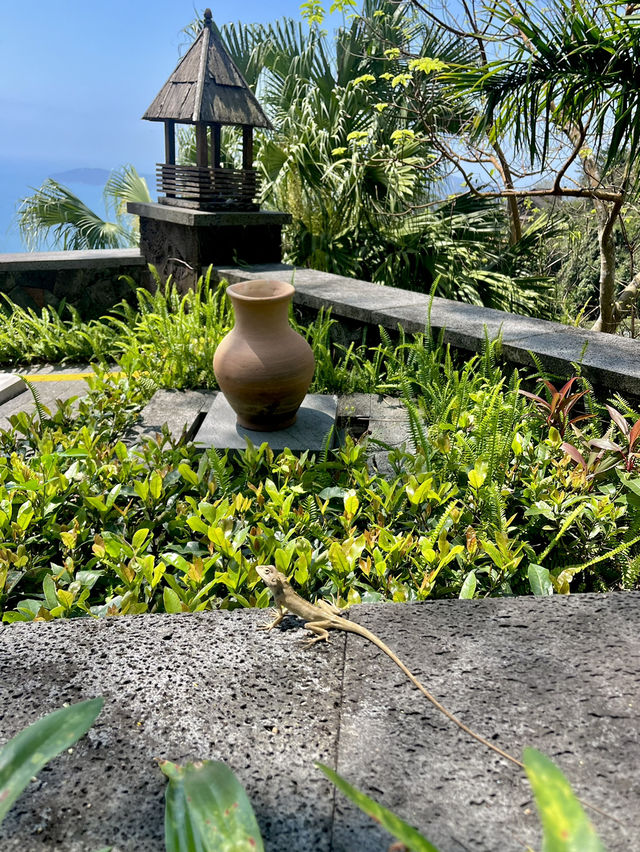 Magpie Suite Villa🌿