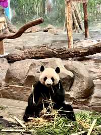 Guangzhou 3 Days Itinerary