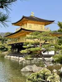 Beautiful Kyoto