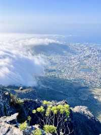 Climbing Table Mountain – Stairway to the Clouds ☁️ 