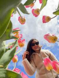 A day at Tulley’s Tulip Farm!🌷