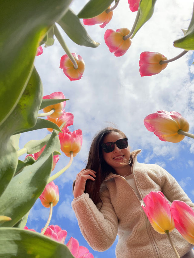 A day at Tulley’s Tulip Farm!🌷