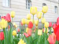 Think Scandinavia’s Cold? Wait Till You Feel Stockholm’s Charm