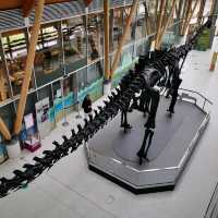 Canvas of Coventry: Exploring the Herbert Art Gallery & Museum
