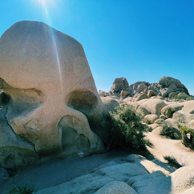 🌵 Top Must-See Landmarks in Joshua Tree National Park 🌅