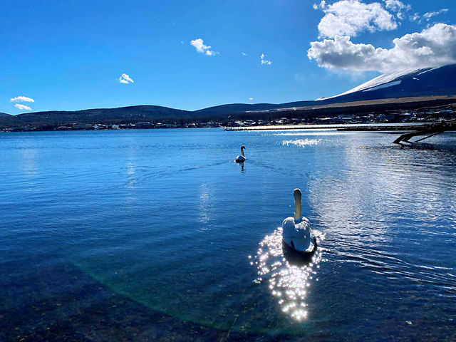 🗻 Winter Calm at Mount Fuji ❄️