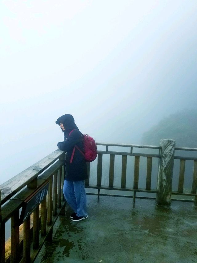 Wugongshan: Sea of Clouds & Alpine Dreams🏔🏞