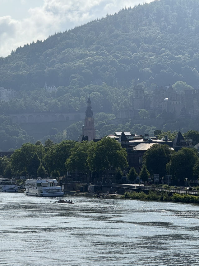🇩🇪ハイデルベルクの静けさと美しさを堪能。ケルン遠征も楽しめる欲張り旅｜3日間のモデルコース