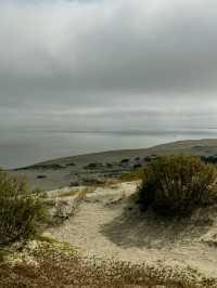 The Curonian Spit is a narrow sandy stretch of land between the Baltic Sea and the Curonian Lagoon