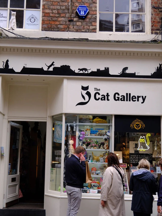 Timeless Moments in York: A Walk Through History