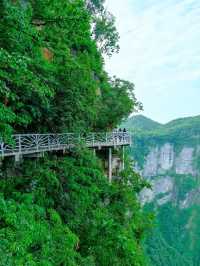 Floating Mountains and Hidden Paths: A Day in Zhangjiajie
