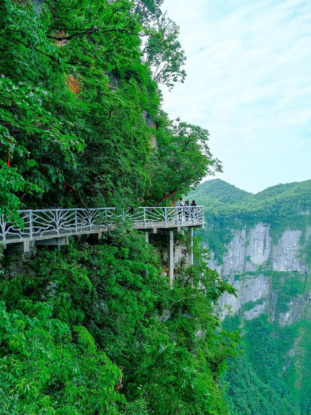 Floating Mountains and Hidden Paths: A Day in Zhangjiajie