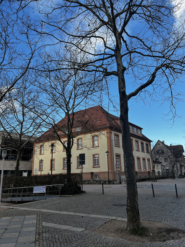 🌳🏰 Bühl, Germany – A Hidden Gem Between Vineyards and the Black Forest ✨🍇