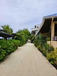 🌊 Dhiffushi Island, Maldives – A Local Island Paradise Experience